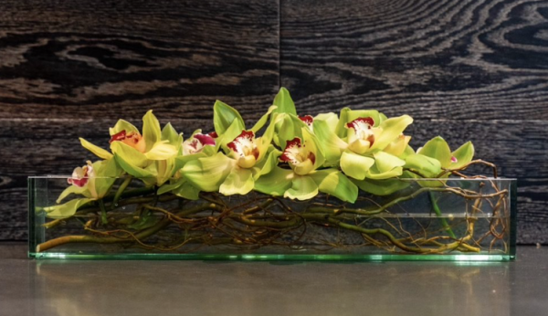 Floating Orchid